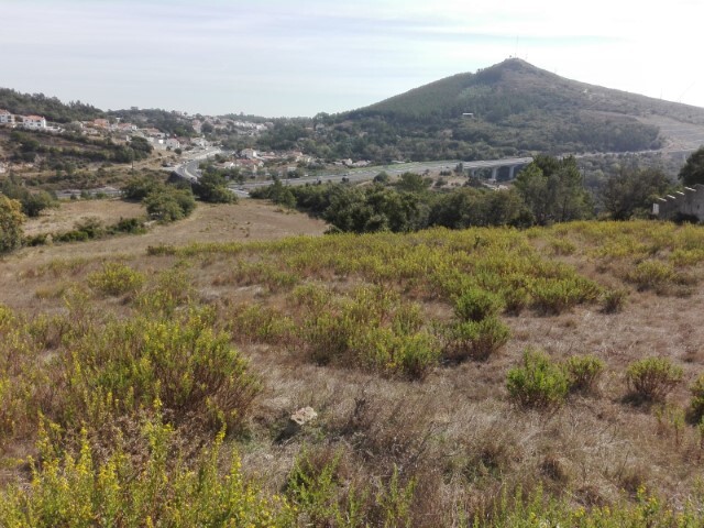 Terreno Rstico - Lousa, Loures, Lisboa - Imagem grande