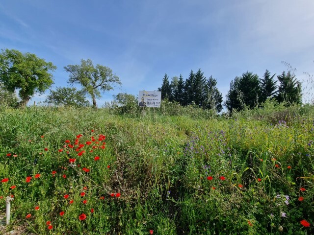 Terreno Rstico - So Francisco da Serra, Santiago do Cacm, Setbal - Imagem grande