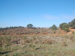 Terreno Rstico - Cercal do Alentejo, Santiago do Cacm, Setbal