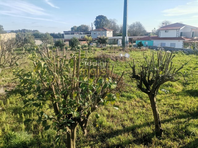 Terreno Urbano - Requio, Vila Nova de Famalico, Braga - Imagem grande