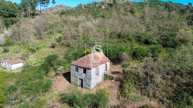 Quinta T0 - Gesta, Baio, Porto - Imagem grande