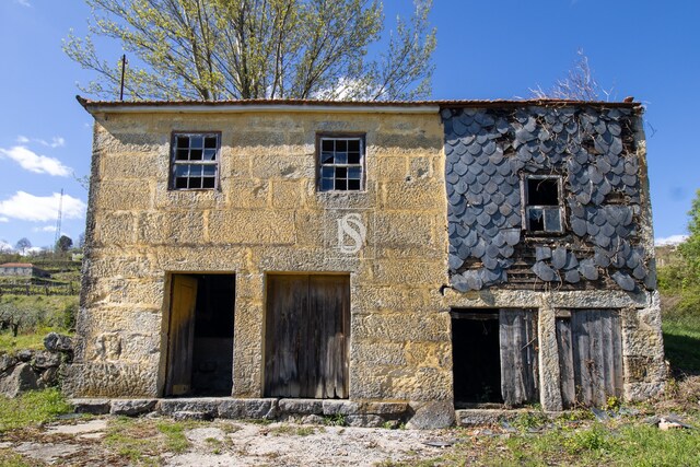 Quinta T2 - Gesta, Baio, Porto - Imagem grande