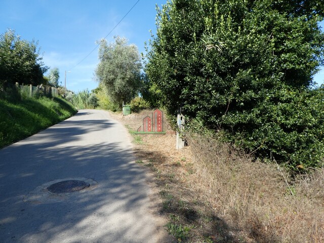 Terreno Rstico - Cernache, Coimbra, Coimbra - Imagem grande