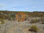 Terreno Rstico - Azinhal, Castro Marim, Faro (Algarve) - Miniatura: 4/9