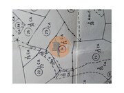 Terreno Rstico - Azinhal, Castro Marim, Faro (Algarve) - Miniatura: 4/9