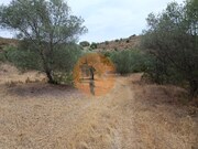 Terreno Rstico - Alcoutim, Alcoutim, Faro (Algarve) - Miniatura: 3/9