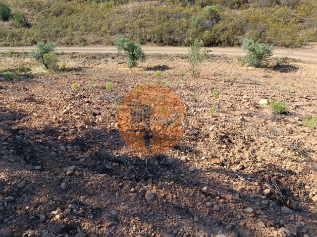 Terreno Rstico - Azinhal, Castro Marim, Faro (Algarve) - Imagem grande