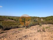 Terreno Rstico - Azinhal, Castro Marim, Faro (Algarve) - Miniatura: 5/9