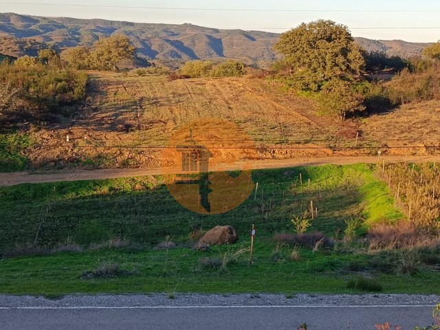 Terreno Rstico - Azinhal, Castro Marim, Faro (Algarve) - Imagem grande