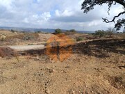 Terreno Rstico - Azinhal, Castro Marim, Faro (Algarve) - Miniatura: 4/9