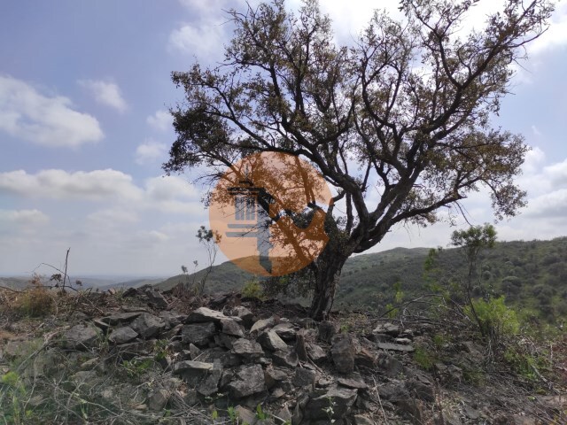 Terreno Rstico - Azinhal, Castro Marim, Faro (Algarve) - Imagem grande