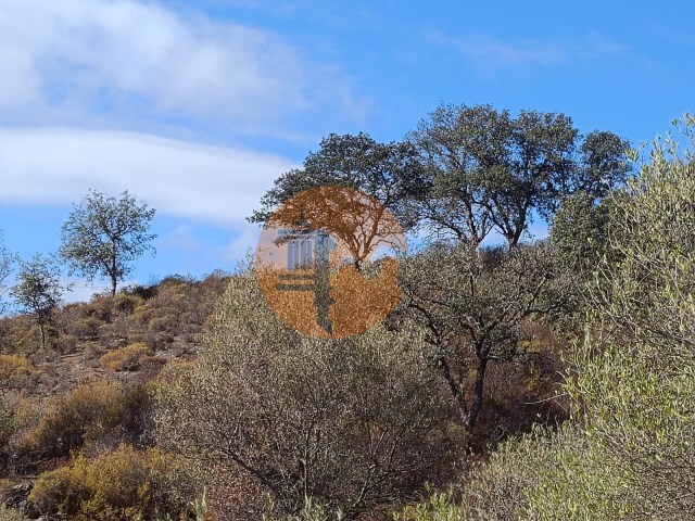 Terreno Rstico - Odeleite, Castro Marim, Faro (Algarve) - Imagem grande