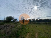 Terreno Rstico - Conceio, Faro, Faro (Algarve) - Miniatura: 3/9