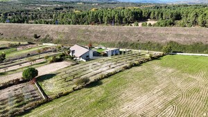 Terreno Rstico T0 - VILA VERDE DA RAIA, Chaves, Vila Real - Miniatura: 4/12