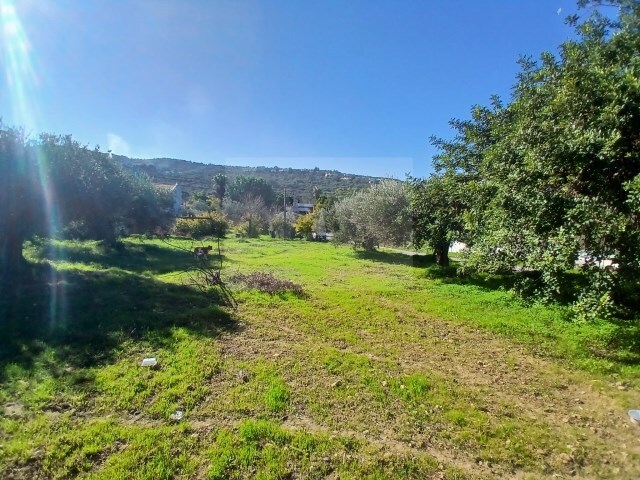 Terreno Urbano - So Brs de Alportel, So Brs de Alportel, Faro (Algarve) - Imagem grande