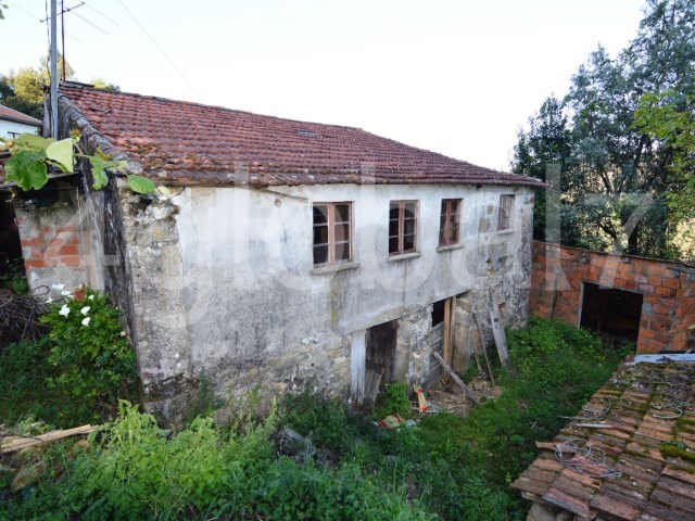 Quinta T2 - Rocas do Vouga, Sever do Vouga, Aveiro - Imagem grande