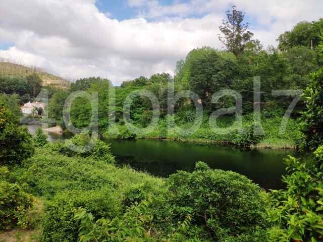 Terreno Rstico - Pessegueiro do Vouga, Sever do Vouga, Aveiro - Imagem grande