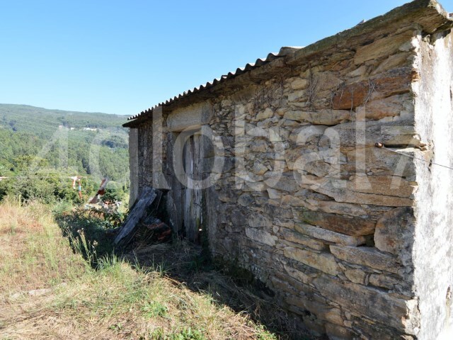 Quinta - Silva Escura, Sever do Vouga, Aveiro - Imagem grande