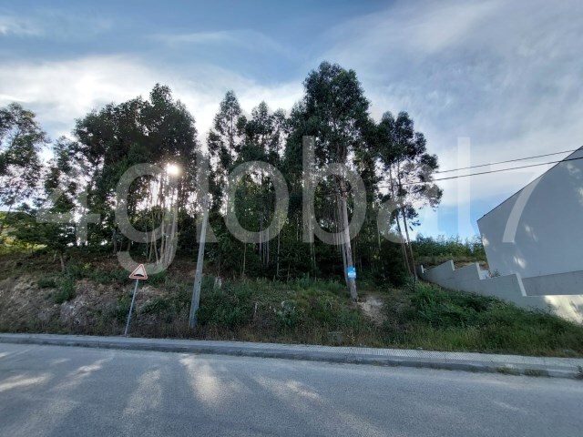 Terreno Rstico - Sever do Vouga, Sever do Vouga, Aveiro - Imagem grande