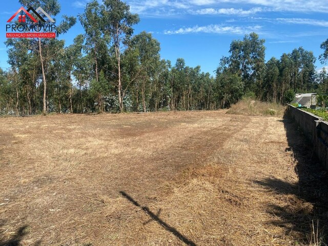 Terreno Rstico - No Definido, No Definido, No Definido - Imagem grande