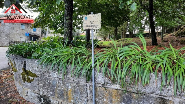 Terreno Rstico - No Definido, No Definido, No Definido - Imagem grande