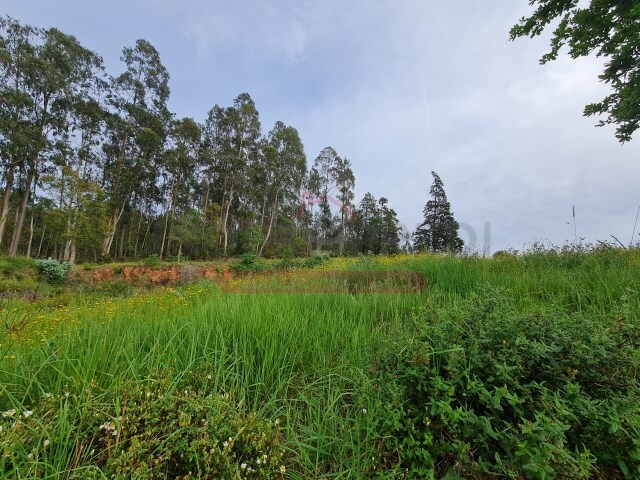 Terreno Urbano - Macinhata do Vouga, gueda, Aveiro - Imagem grande