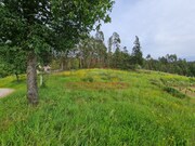 Terreno Urbano - Macinhata do Vouga, gueda, Aveiro - Miniatura: 4/5