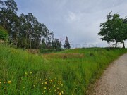 Terreno Urbano - Macinhata do Vouga, gueda, Aveiro - Miniatura: 5/5