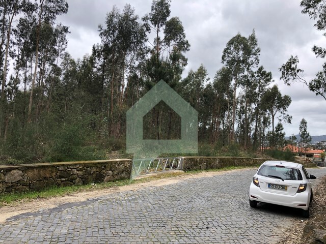 Terreno Rstico - Alvelos, Barcelos, Braga - Imagem grande