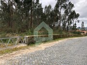 Terreno Rstico - Alvelos, Barcelos, Braga - Miniatura: 4/9