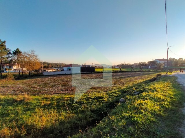 Terreno Urbano - Vila Cova, Barcelos, Braga - Imagem grande