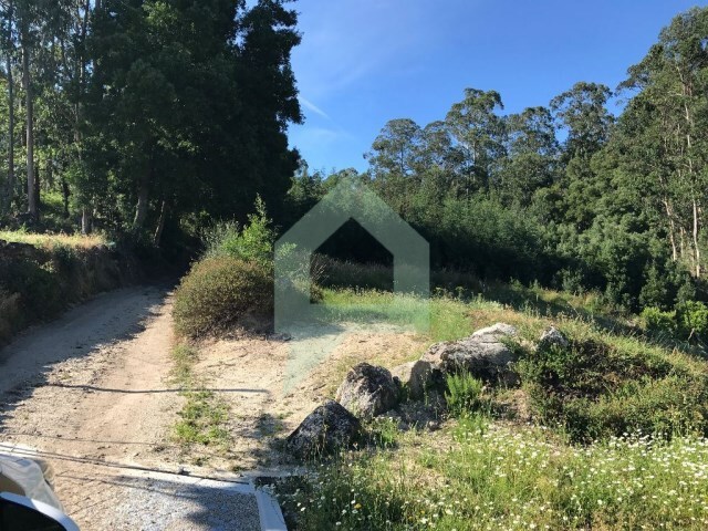 Terreno Rstico - Creixomil, Barcelos, Braga - Imagem grande