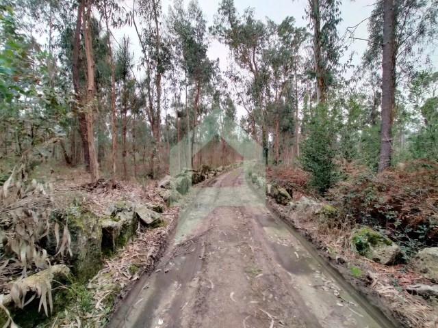 Terreno Rstico - Silveiros e Rio Covo, Barcelos, Braga - Imagem grande