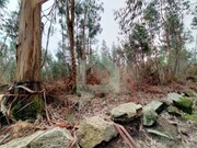 Terreno Rstico - Silveiros e Rio Covo, Barcelos, Braga - Miniatura: 1/9