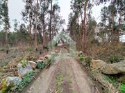 Terreno Rstico - Silveiros e Rio Covo, Barcelos, Braga - Miniatura: 7/9