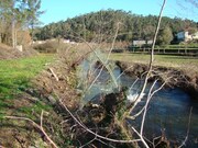 Terreno Rstico - Cossourado, Barcelos, Braga - Miniatura: 4/9