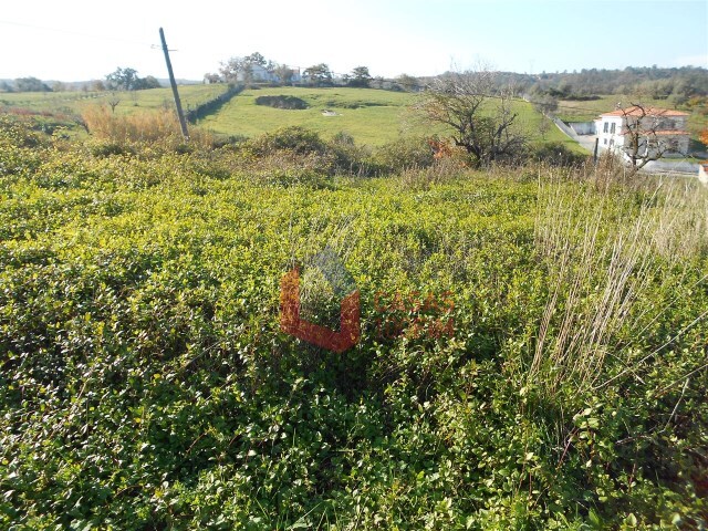 Terreno Urbano - Reguengo do Fetal, Batalha, Leiria - Imagem grande