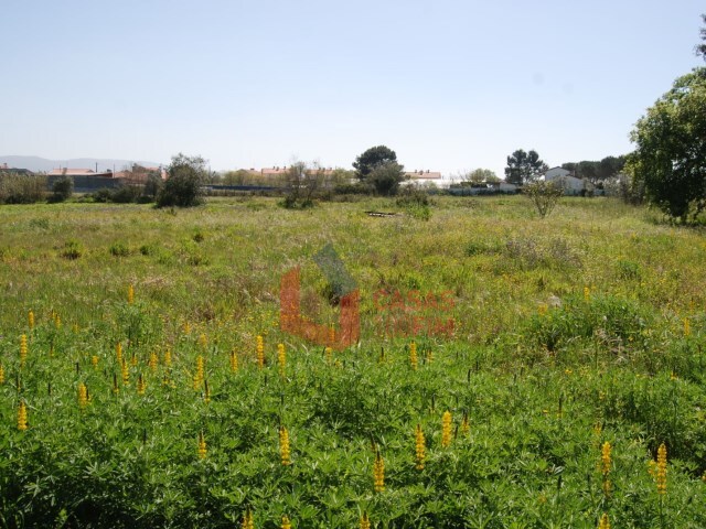 Terreno Rstico - Batalha, Batalha, Leiria - Imagem grande