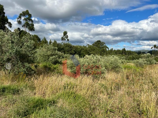 Terreno Rstico - Calvaria de Cima, Porto de Ms, Leiria - Imagem grande