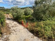 Terreno Rstico - Calvaria de Cima, Porto de Ms, Leiria - Miniatura: 1/1