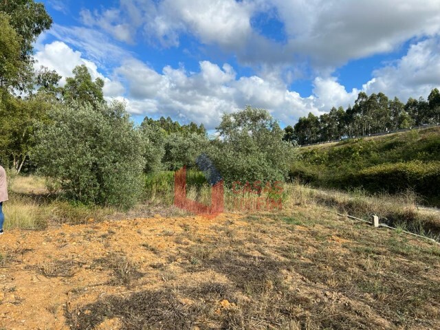 Terreno Rstico - Calvaria de Cima, Porto de Ms, Leiria - Imagem grande