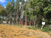 Terreno Rstico - Calvaria de Cima, Porto de Ms, Leiria - Miniatura: 1/1