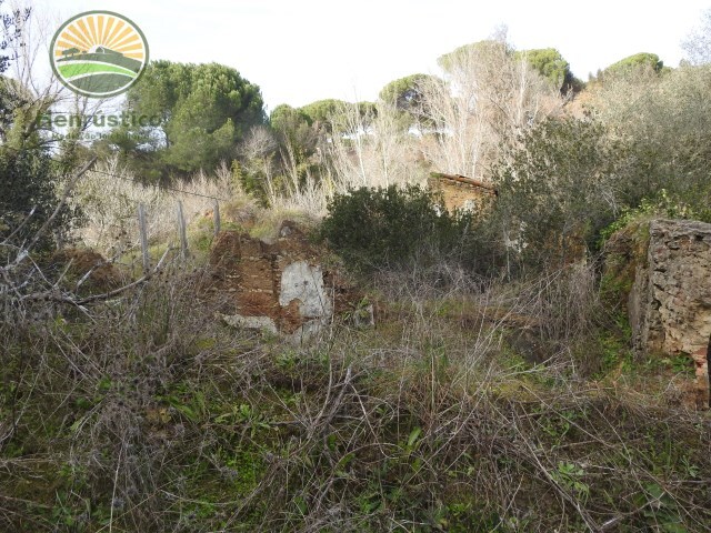 Quinta - Santa Margarida da Serra, Grndola, Setbal - Imagem grande