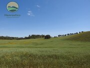 Terreno Rstico - Cercal do Alentejo, Santiago do Cacm, Setbal - Miniatura: 4/9