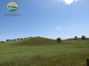 Terreno Rstico - Cercal do Alentejo, Santiago do Cacm, Setbal - Miniatura: 5/9