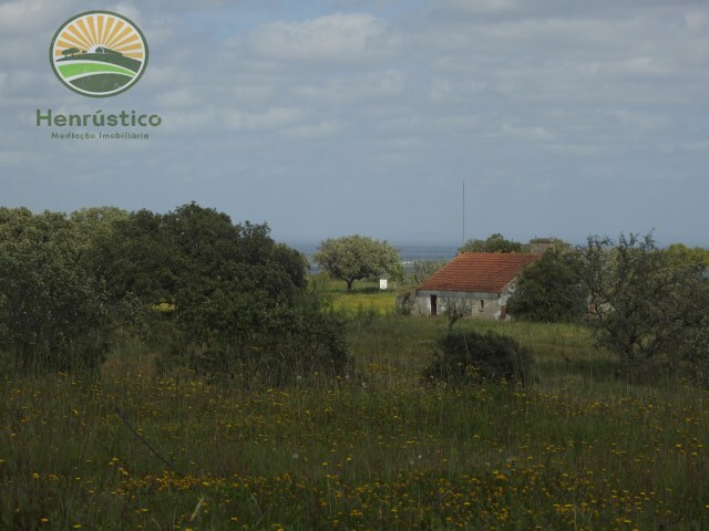 Terreno Rstico - Santa Margarida da Serra, Grndola, Setbal - Imagem grande