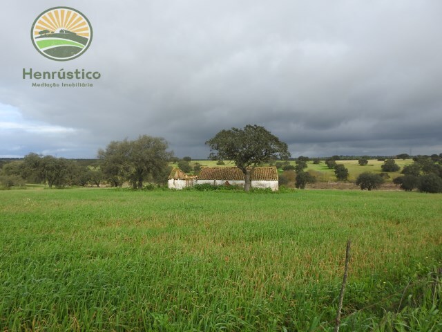 Terreno Rstico - Alfundo, Ferreira do Alentejo, Beja - Imagem grande