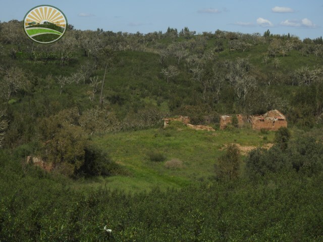 Terreno Rstico - Santiago do Cacm, Santiago do Cacm, Setbal - Imagem grande