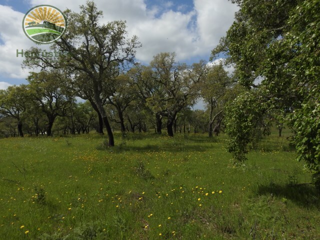 Terreno Rstico - Santa Margarida da Serra, Grndola, Setbal - Imagem grande