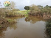 Terreno Rstico - Alfundo, Ferreira do Alentejo, Beja - Miniatura: 9/9